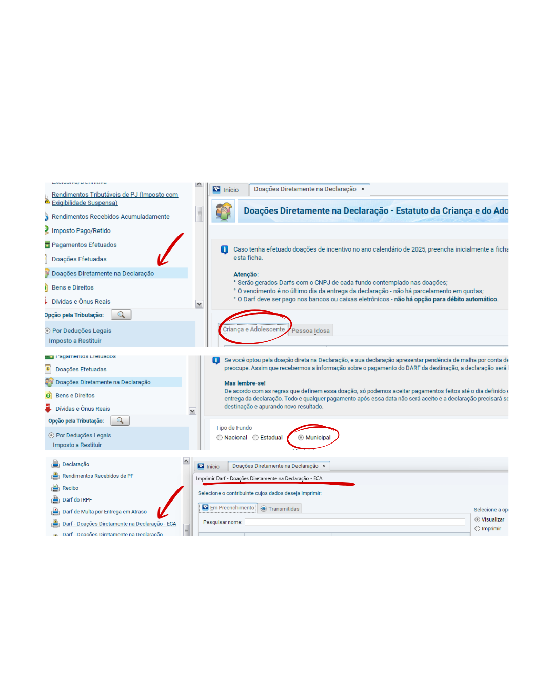 Tela de doações na Receita Federal